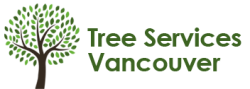 Vancouver Tree Services to Offer More Benefits From Tree Maintenance This Winter Season Through Their Comprehensive Services 10