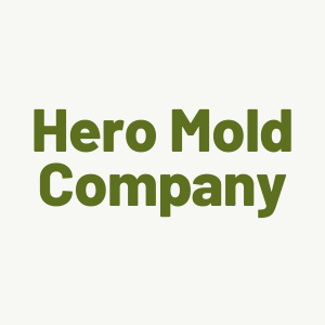 Hero Mold Company Shares the Qualities of a Good Mold Removal Company 1