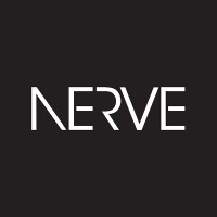 NERVE Offers Exceptional Digital Marketing Services 1