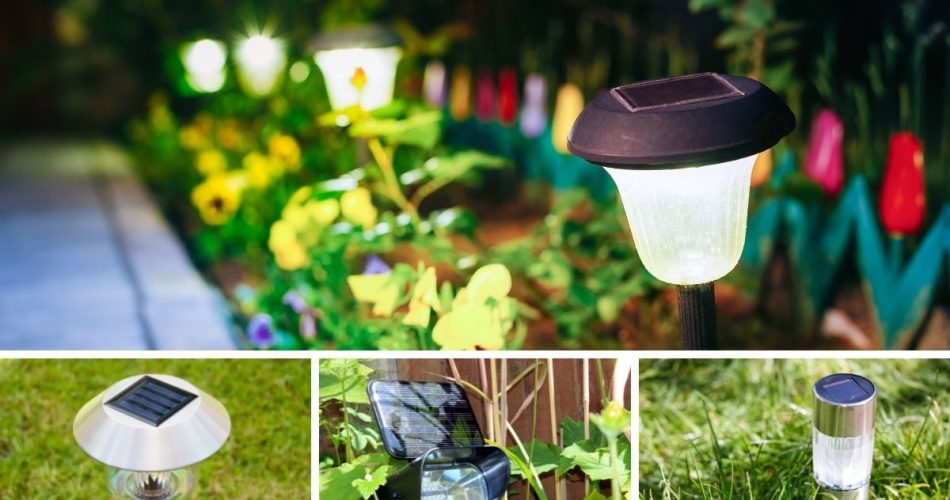 OutdoorLights Reveals the 10 Top-Rated Solar Path Lights in 2022 1