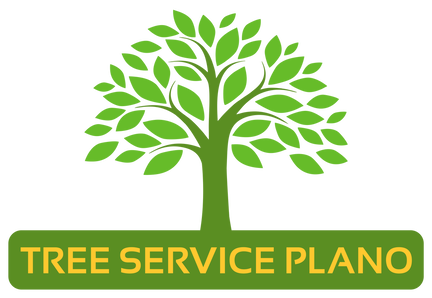 Tree Service Plano Is the Number One Tree Services Provider in Plano TX