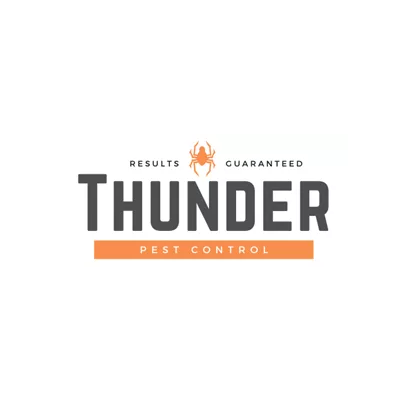 Thunder Pest Control – Lawton Explains Why Summer is the Best Time for Pest Control 1