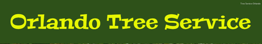 Orlando Tree Service Highlights Their Excellent Tree Services. 1