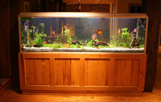 Meet Factory Fish Tanks: Custom Built Fish Tanks For Real Fish Enthusiasts 4