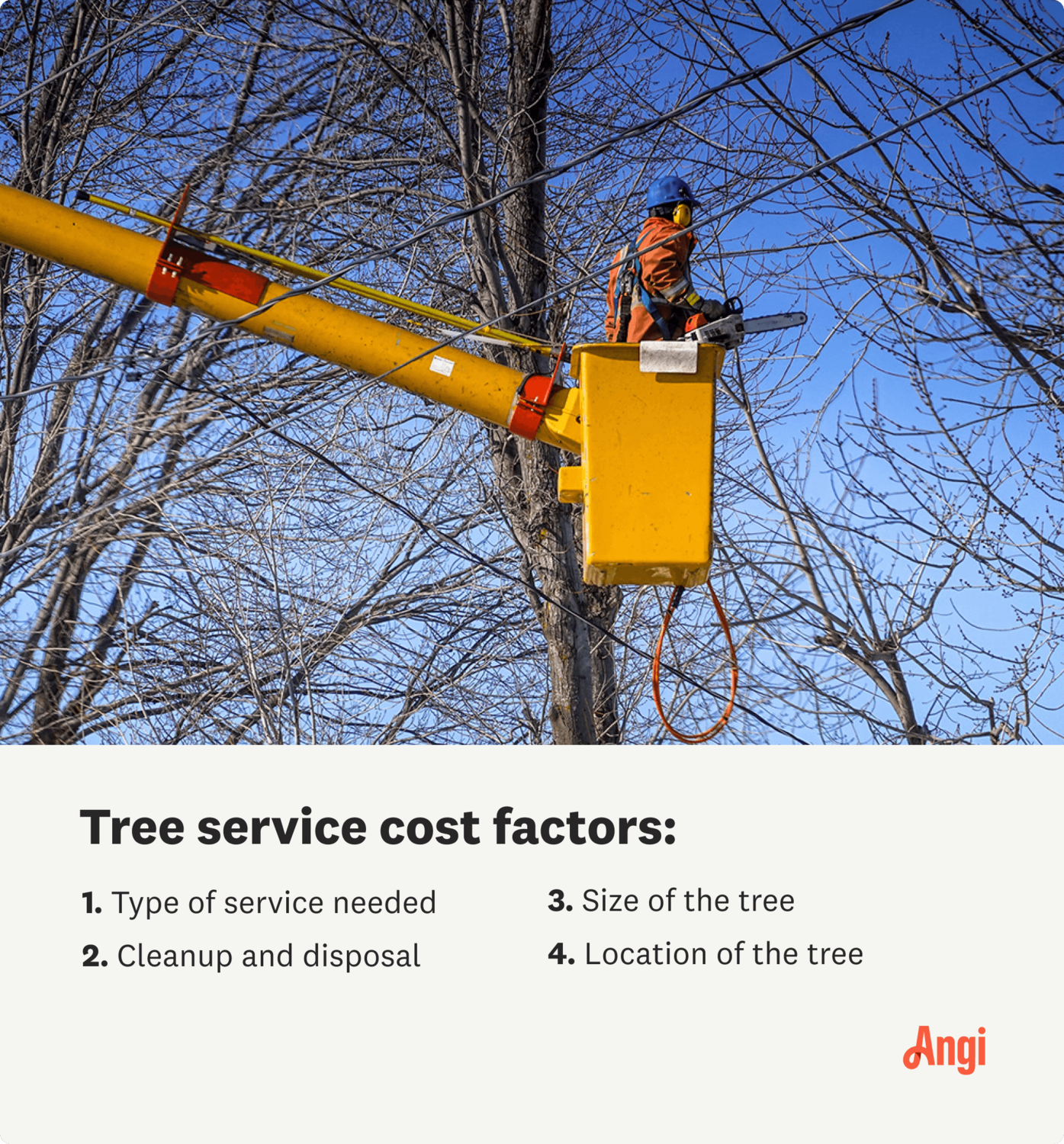 Temecula Tree Service Pros Uses Tree Pruning to Help Homeowner Avoid Spending Thousands of Dollars on Tree Removal 1