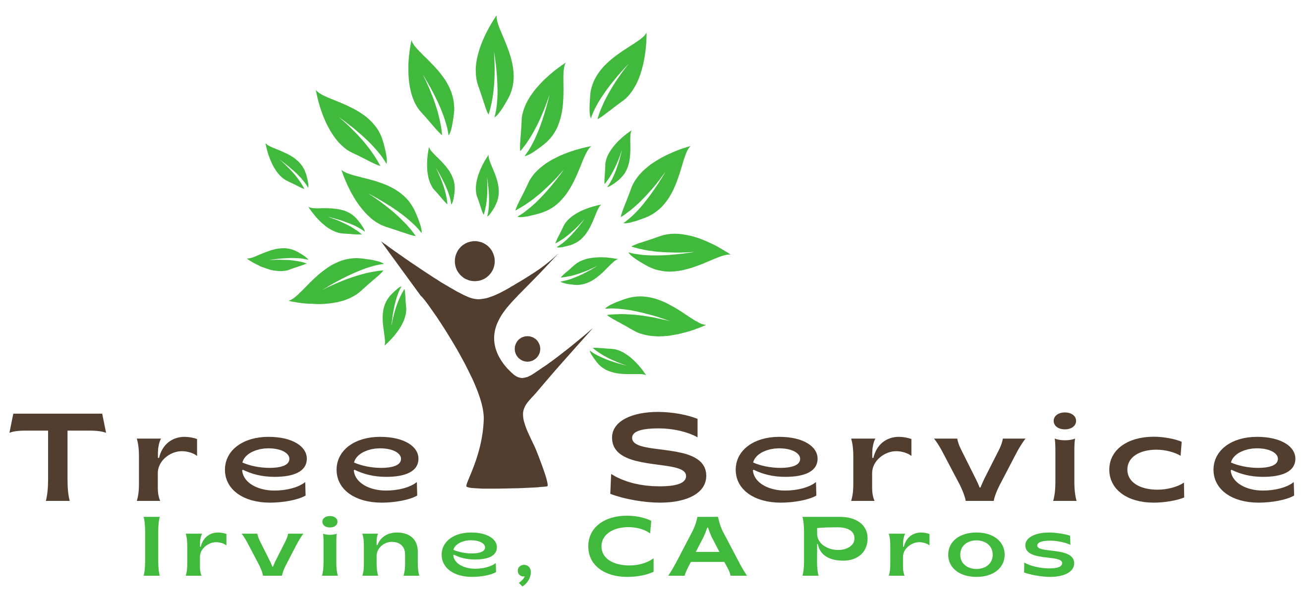 Tree Service Experts Irvine Uses Tree Pruning to Eliminate Property Damage Risk 1