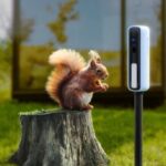 Reli Light Cam D1, A Newly Launched Camera that Explores Nature While Fulfilling Security Needs