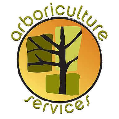 Arboriculture Services Explains Why It Is Vital to Hire a Professional Arborist 15