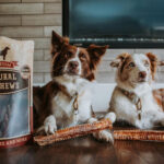 Bully Bunches offers sustainable, all-natural dog chews that pooches love