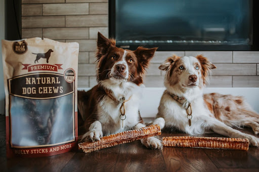 Bully Bunches offers sustainable, all-natural dog chews that pooches love 1