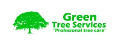 Tree Removal Firm Marks Seven Years Of Experience and Skills 8