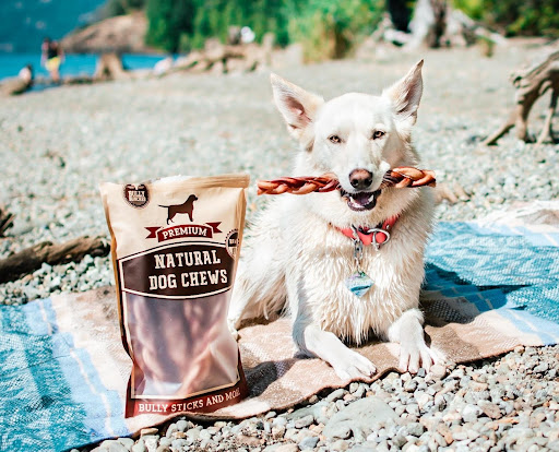 Bully Bunches offers sustainable, all-natural dog chews that pooches love 2