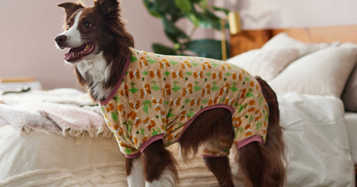 Pets Bounce LLC Unveils Huge Collection Of Pet Clothing & Apparel At The Most Affordable Prices 1
