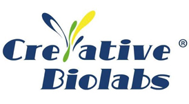 Meet Creative Biolabs’ BsAb Team at Antibody Engineering & Therapeutics 2022, Booth #418 1