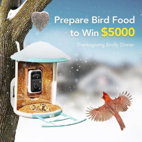Netvue Launched Rich Reward for Bird Lovers to Celebrate Thanksgiving with Their Backyard Friends 1
