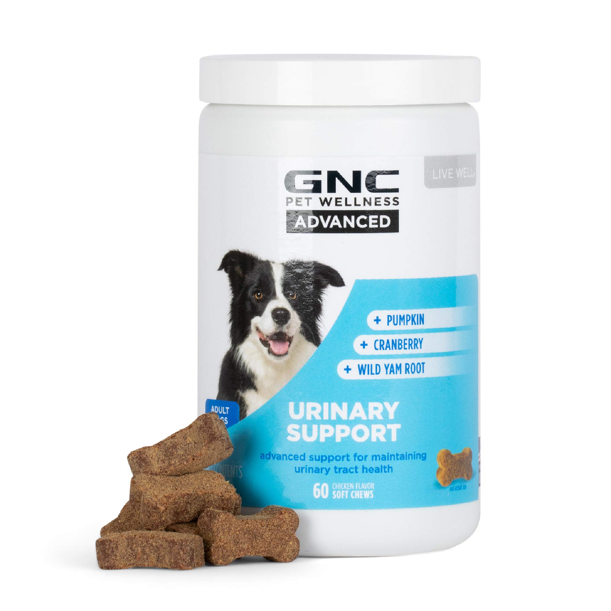 Beloved Pets Store Launches Amazing New Supplement to Help Dogs and Cats Treat Kidney Stones, UTI, and other Urinary Tract Disorders 1