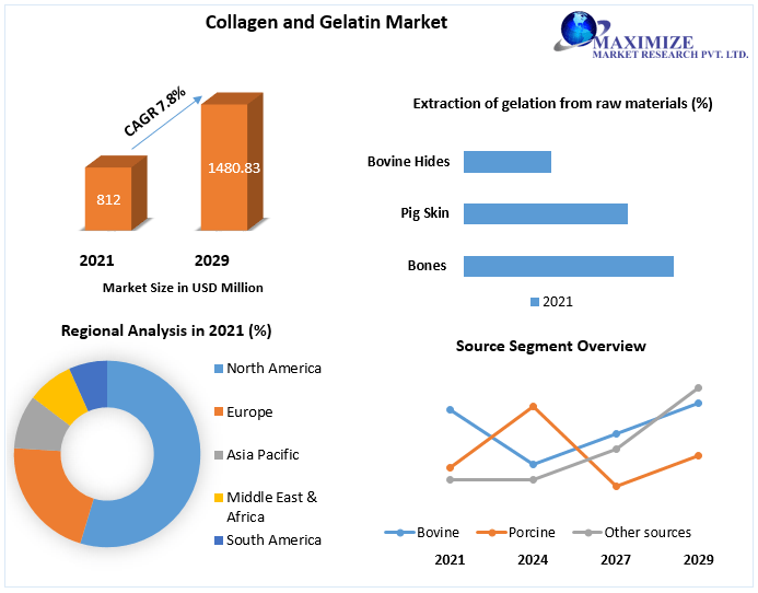 Collagen and Gelatin Market expected to reach USD 1480.83 Mn by 2029 Changing Consumer preferences, Veganism and Growth Hubs 1