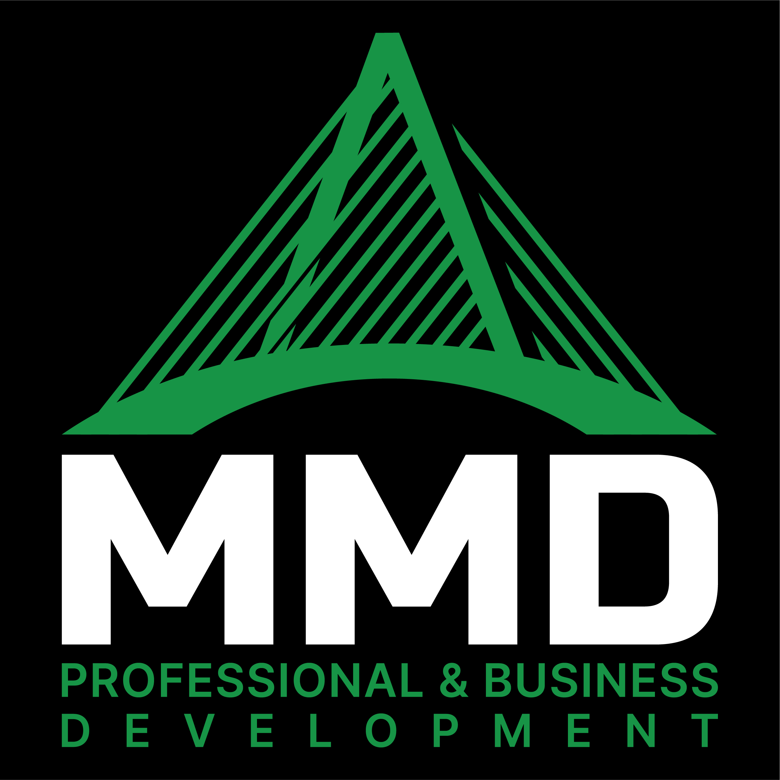 New Hybrid Consultancy, MMD Consulting, Launches to Help Businesses Grow 4