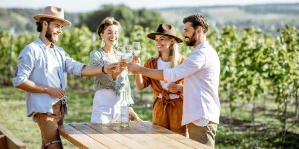 Ami Tours Brings The Best Yarra Valley Wine Tours & Mornington Peninsula Wine Tours in Melbourne 3