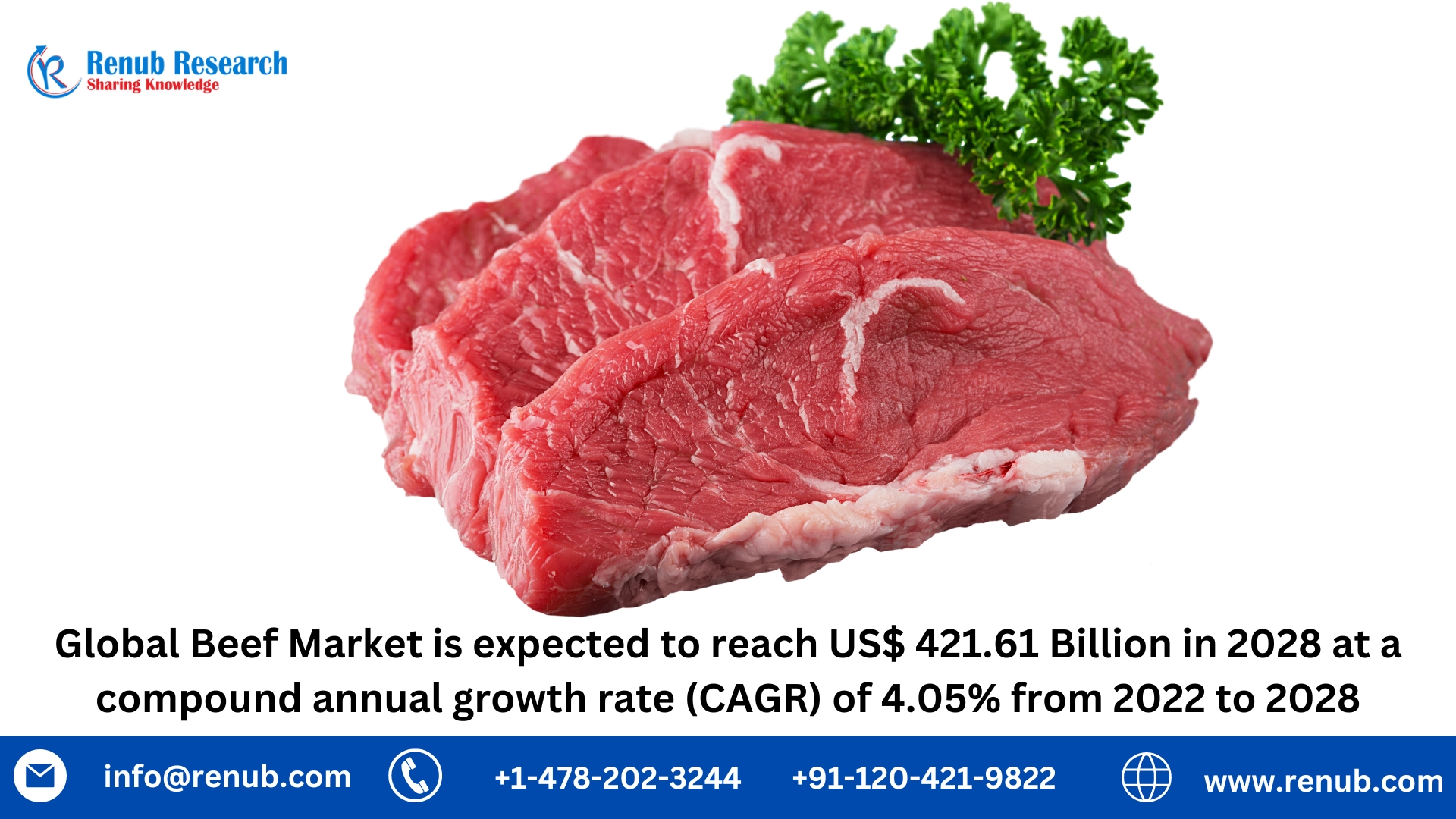 Forecasting the Global Beef Market: Trends, Growth, and Challenges for 2023-2028 12