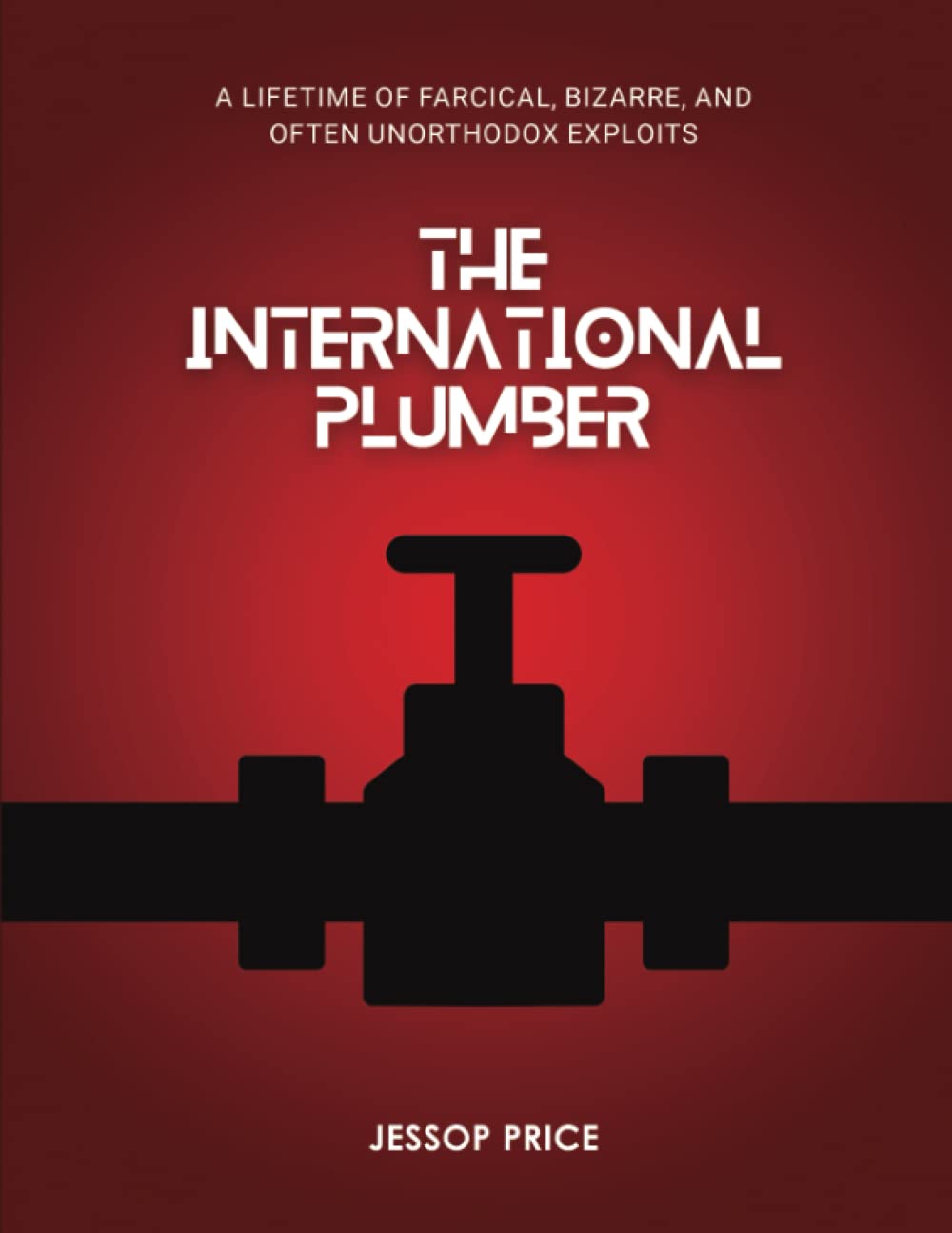 The International Plumber: A Memoir of Music, Engineering, and Adventures 7