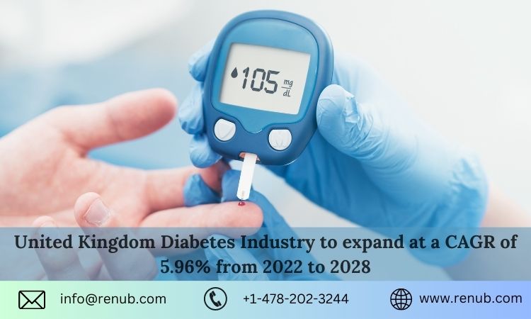 Forecasting the United Kingdom Diabetes Market 2023-2028: Trends, Drivers, and Opportunities for Growth 12