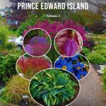 Horticulturist David Releases Two-Volume Book Series Featuring Native and Non-Native Perennials and Biennials from Around the World