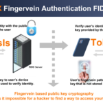Vein-X, FIDO2-based finger vein authentication, has overtaken the global market