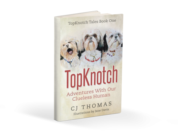 CJ Thomas’ TopKnotch is a Captivating Work of Young Adult Fiction that Touches on Real-Life Mental Health Struggles 8