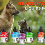 Liquid Gold for Pets: Beloved Pets Brand’s New Liquid Supplements Make a Splash