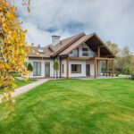 Greenery Vitality: The Parshall Tree Care Experts Approach to Lawn Healthcare